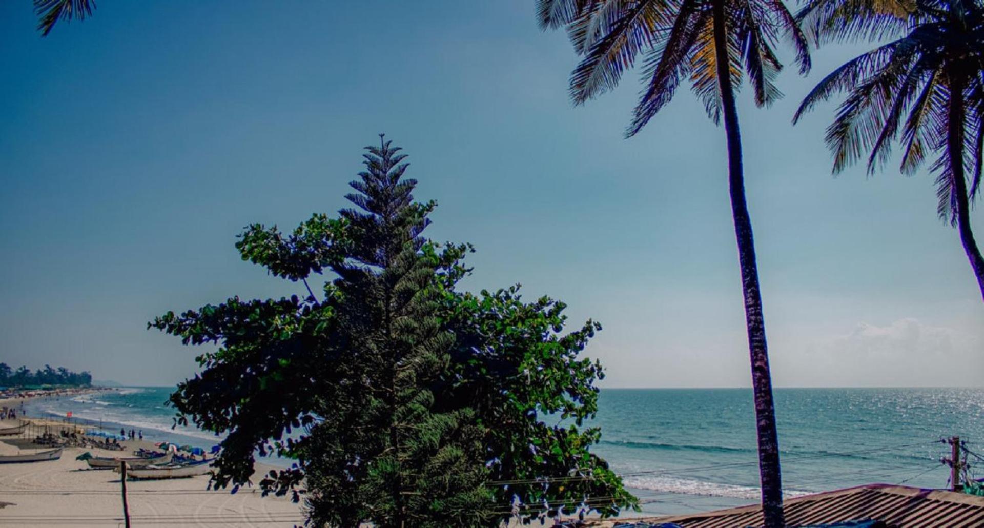 This Is It Beachfront - Rooms, Cafe & Events Arambol Exterior foto