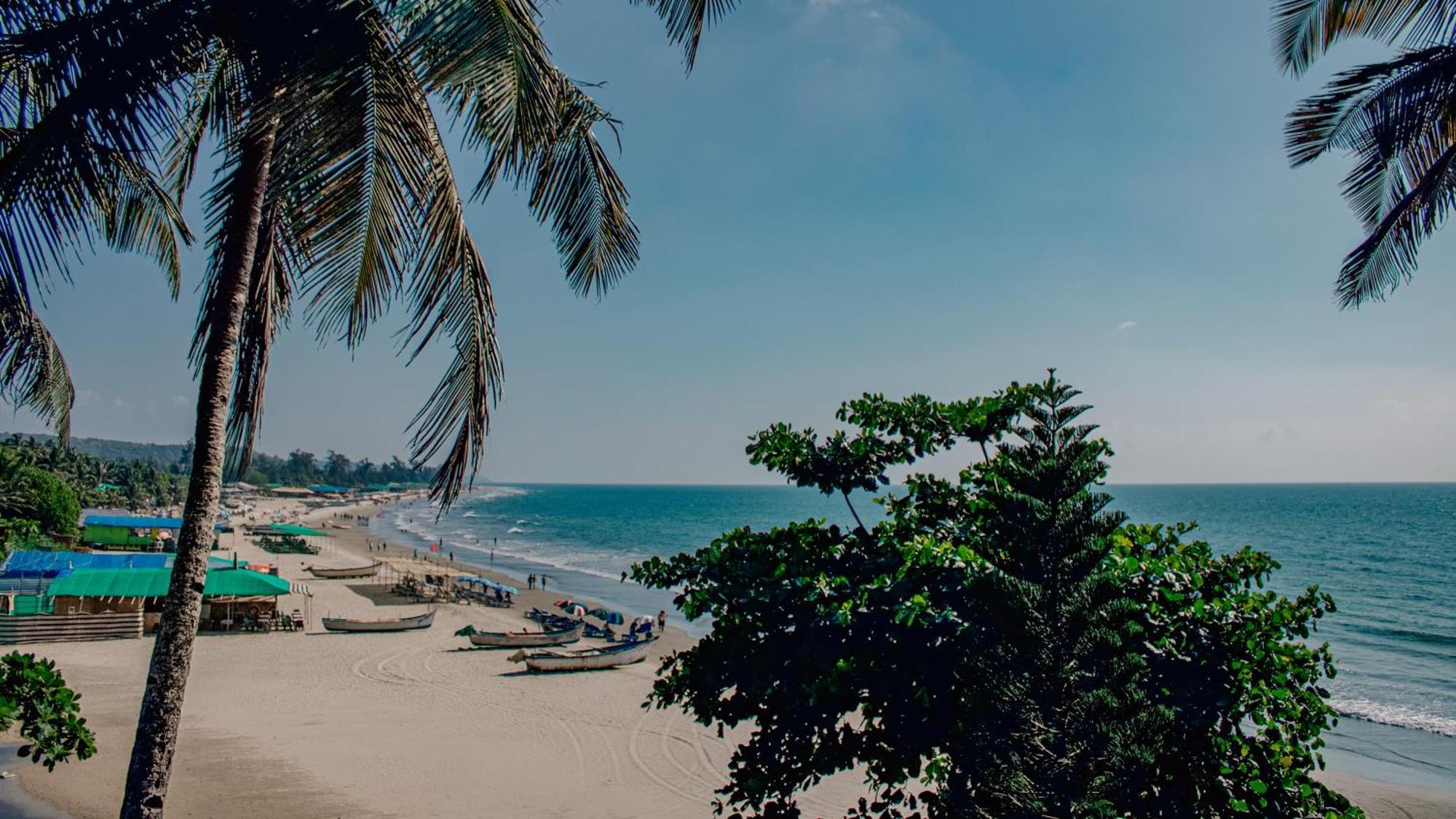 This Is It Beachfront - Rooms, Cafe & Events Arambol Exterior foto