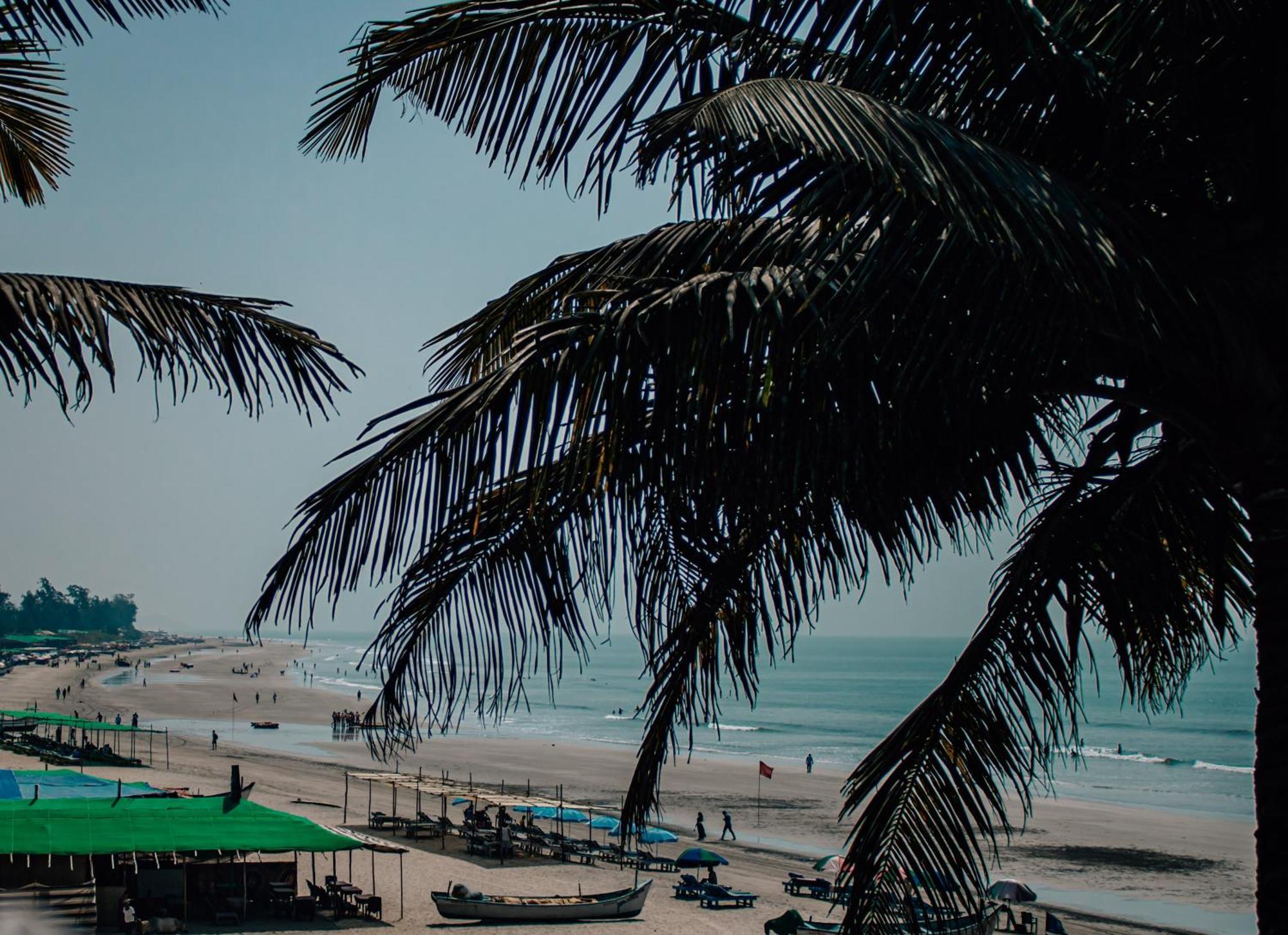 This Is It Beachfront - Rooms, Cafe & Events Arambol Exterior foto